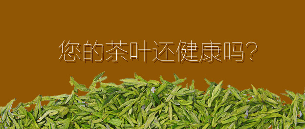 <b><font color='#333333'>您的茶还健康吗？？？</font></b>